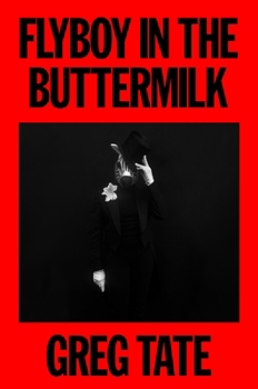 Hardcover Flyboy in the Buttermilk: Essays on Contemporary America Book