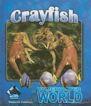 Crayfish - Book  of the Underwater World