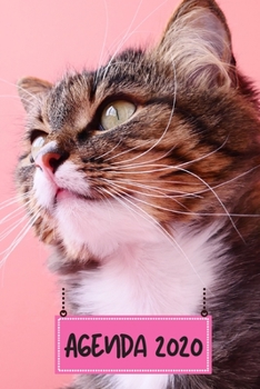 Agenda 2020: Hebdomadaire 1 Semaine par page Format A5 | Janvier 2020 à Décembre 2020 | Planificateur Organiseur Semainier avec Calendrier et Carnet ... Pour les Amoureux des Chats (French Edition)