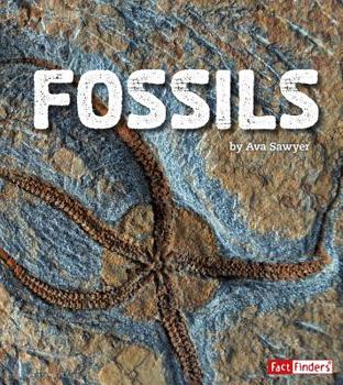 Paperback Fossils Book