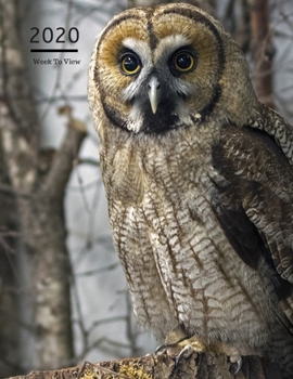 2020 A4 Diary Week To View Planner For All Occasions: | Year Planner For Business, Office, Home, University, College, School, Appointments, Organizer.