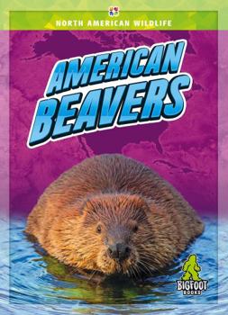 Library Binding American Beavers Book