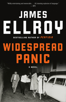 Widespread Panic: A Novel