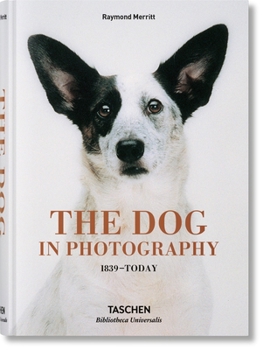 Hardcover The Dog in Photography 1839-Today [Multiple Languages] Book