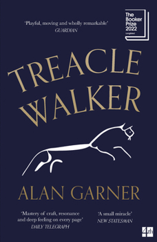 Paperback Treacle Walker Book