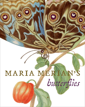 Hardcover Maria Merian's Butterflies Book