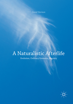 Paperback A Naturalistic Afterlife: Evolution, Ordinary Existence, Eternity Book