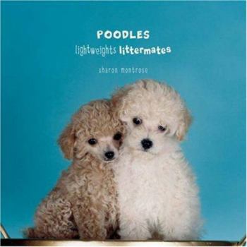 Hardcover Poodles: Lightweights Littermates Book