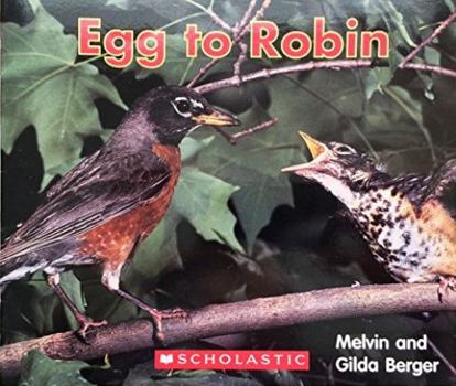 Paperback Egg to Robin Book