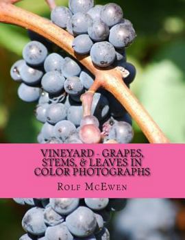 Paperback Vineyard - Grapes, Stems, & Leaves in Color Photographs Book