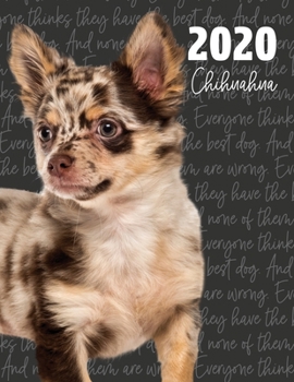 2020 Chihuahua: Dated Weekly Planner With To Do Notes & Dog Quotes (Awesome Calendar Planners for Dog Owners Photo)