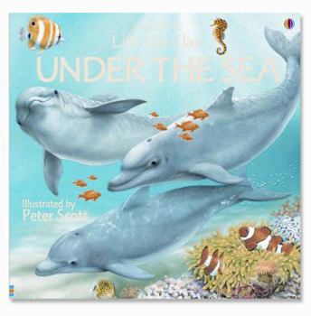 Hardcover Under the Sea Book