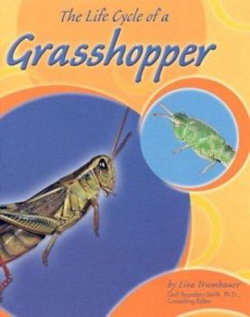 Hardcover The Life Cycle of a Grasshopper Book