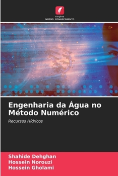 Paperback Engenharia da Água no Método Numérico [Portuguese] Book