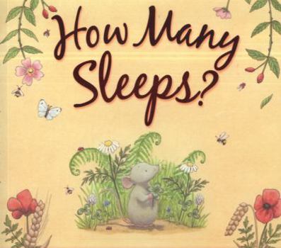 Paperback How Many Sleeps?. Amber Stewart and Layn Marlow Book