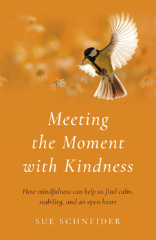 Paperback Meeting the Moment with Kindness: How Mindfulness Can Help Us Find Calm, Stability, and an Open Heart Book