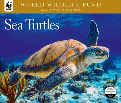 Calendar Sea Turtles WWF 2022 Wall Calendar Book