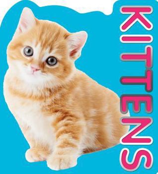 Board book Kittens Book