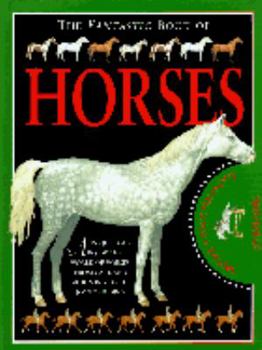 Hardcover Fantastic Book: Horses Book