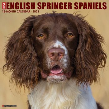 Calendar Just English Springer Spaniels 2023 Wall Calendar Book