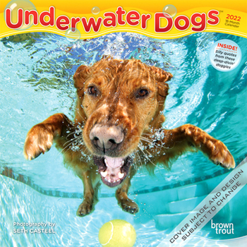 Underwater Dogs 2022 7 x 7 Inch Monthly Mini Wall Calendar, Pet Humor Puppy Canine