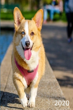 Paperback 2020: Dog Diary, Planner, Agenda - Week Per View - Gift for Dog Lover - CORGI Book