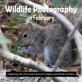 Wildlife Photography in February: Capturing the Flora and Fauna of Virginia and North Carolina (Nature Photos Throughout the Year)