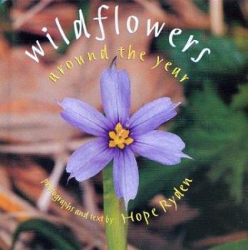Hardcover Wildflowers Around the Year Book