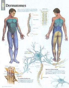 Misc. Understanding Dermatomes Chart: Laminated Wall Chart Book
