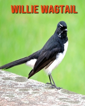 Paperback Willie Wagtail: Amazing Facts about Willie Wagtail Book