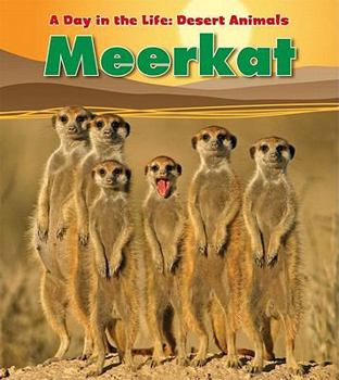 Paperback Meerkat (Heinemann Read and Learn: A Day in the Life: Desert Animals) Book