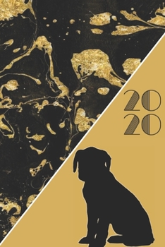 2020: 2020 Sunday Start Monthly Calendar and Organizer | Dalmatian  Gift for Women