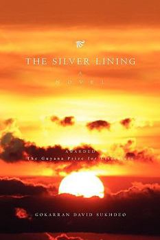 Paperback The Silver Lining Book