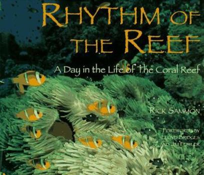 Hardcover Rhythm of the Reef: A Day in the Life of the Coral Reef Book