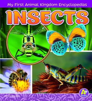 Paperback Insects Book