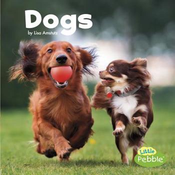 Dogs - Book  of the Our Pets