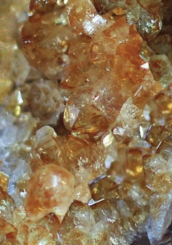 Paperback Yearless Weekly Planner - Citrine: (7 x 10) Including: 2020, 2021, & 2022 Calendars Book