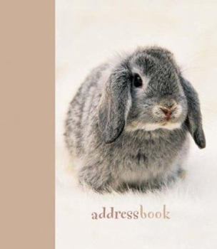 Hardcover Bunnies Mini Book