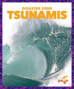 Library Binding Tsunamis Book