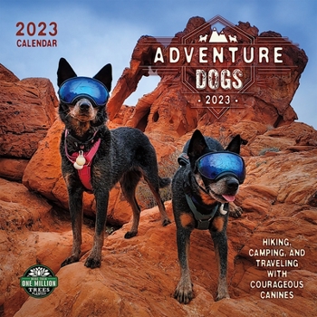Calendar Adventure Dogs 2023 Wall Calendar Book