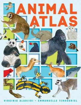 Hardcover Animal Atlas Book