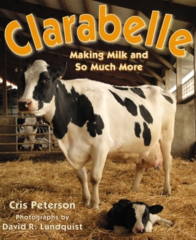 Paperback Clarabelle: Making Milk and So Much More Book