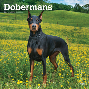 Calendar Dobermans 2024 Square Book