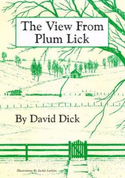 Hardcover The View from Plum Lick Book