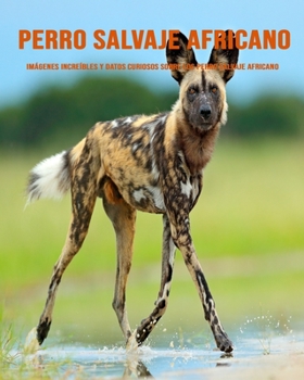 Perro Salvaje Africano: Imágenes increíbles y datos curiosos sobre los Perro Salvaje Africano