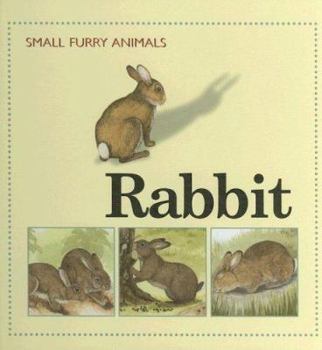 Library Binding Rabbit Book