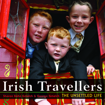 Paperback Irish Travellers: The Unsettled Life Book