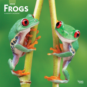 Frogs 2022 12 x 12 Inch Monthly Square Wall Calendar, Wildlife Animals