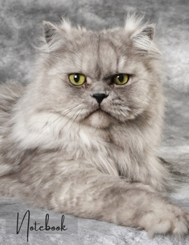 Paperback Notebook: Unlined - Unruled - Plain Notebook - 130 Pages - Large Format 8.5 x 11 in - Workbook - Composition - Cats - Persian Co Book