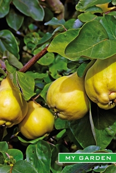 My Garden: Mature Quinces. Format A5, 120 pages, fine grey lined. Journal, diary, notebook and garden planner for everything that happens in the garden throughout the year